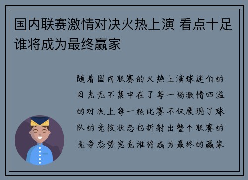 国内联赛激情对决火热上演 看点十足谁将成为最终赢家