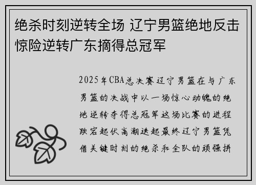 绝杀时刻逆转全场 辽宁男篮绝地反击惊险逆转广东摘得总冠军
